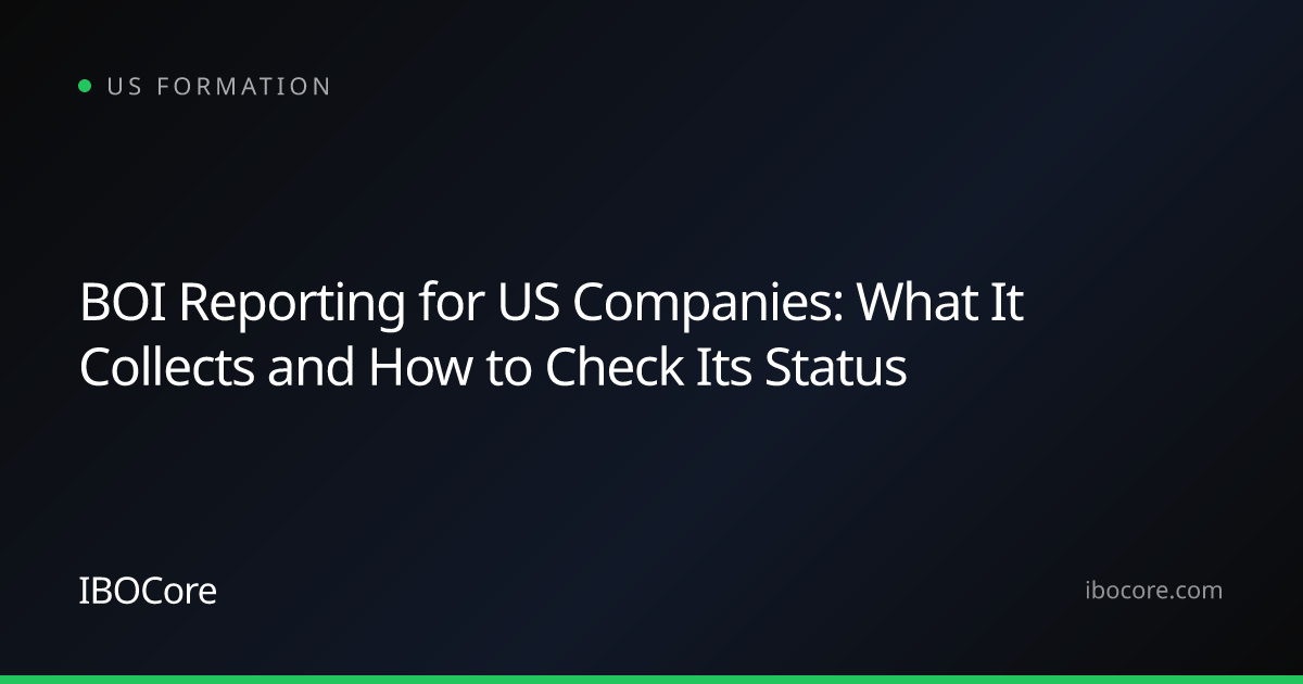 BOI Reporting for US Companies: What It Collects and How to Check Its Status