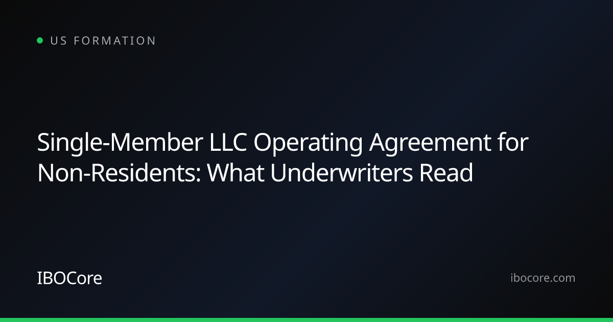 Single-Member LLC Operating Agreement for Non-Residents: What Underwriters Read